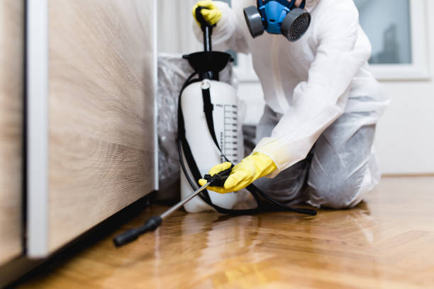 Best Pest Removal Services  in Shelbyvle, IL
