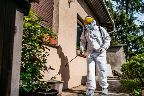 Best Residential Pest Control  in Shelbyvle, IL