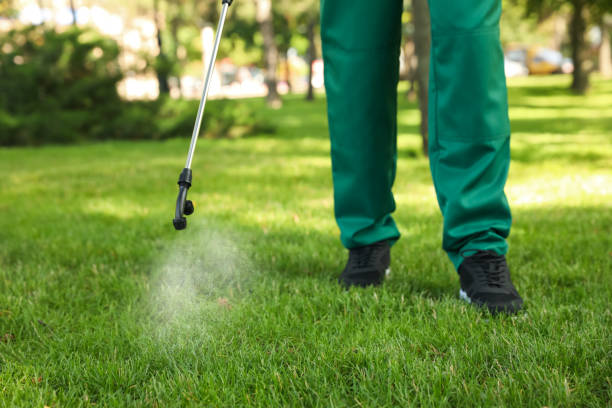 Best Wasp Removal Services  in Shelbyvle, IL