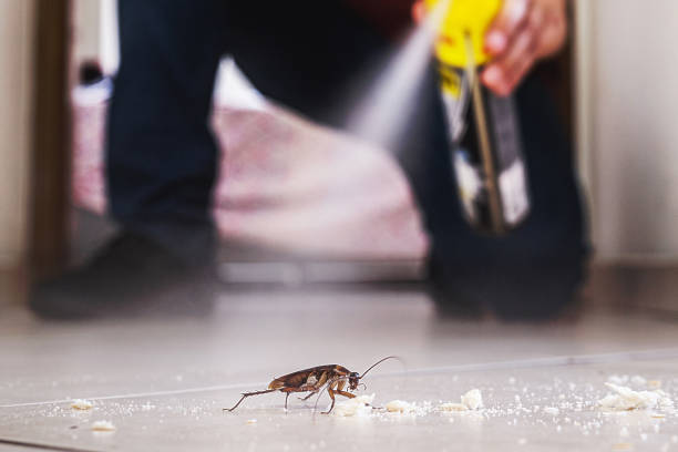 Pest Control for Restaurants in Shelbyville, IL
