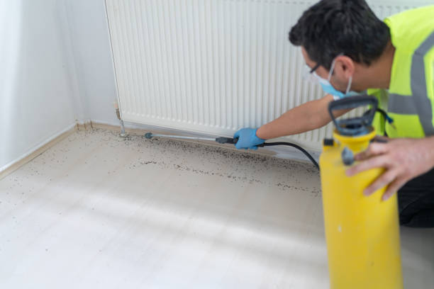 Best Emergency Pest Control  in Shelbyvle, IL